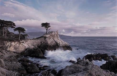 Rocky cliffs near the ocean with trees and a single Cypress tree high on one of the cliffs