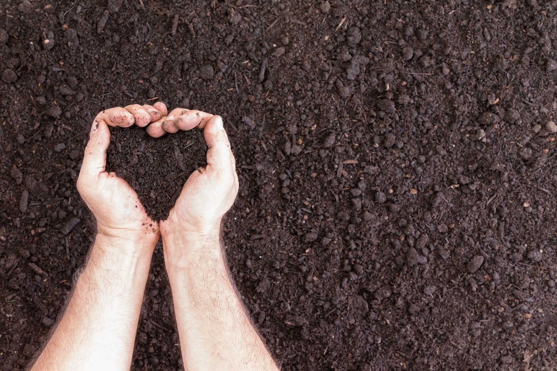 Hands holding rich soil texture representing premium top soil supply for landscaping and garden use. Hands holding rich soil texture representing premium top soil supply for landscaping and garden use.