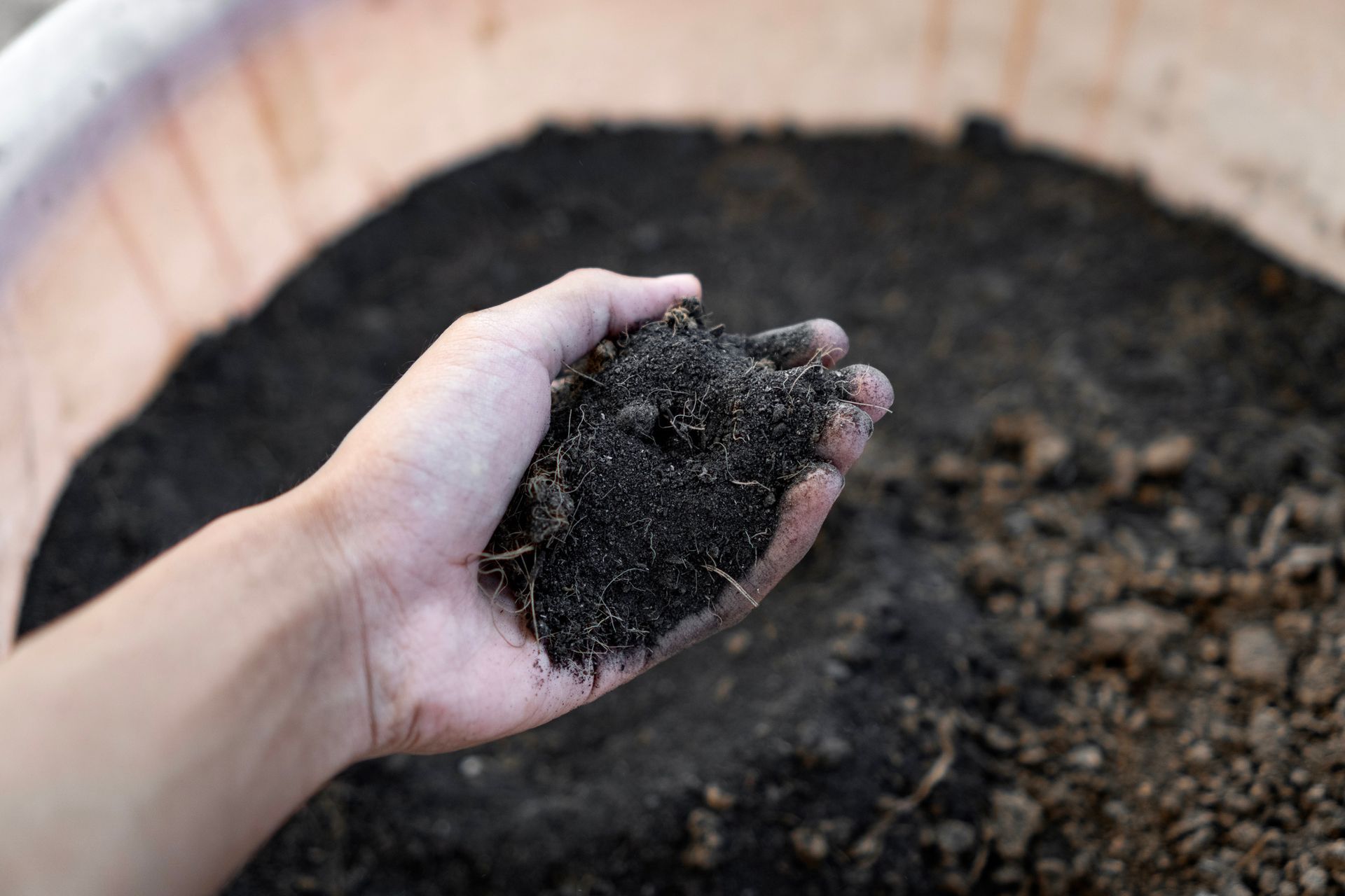 A person's hand holding dark, rich soil from a container, suggesting gardening or soil assessment. A person's hand holding dark, rich soil from a container, suggesting gardening or soil assessment.