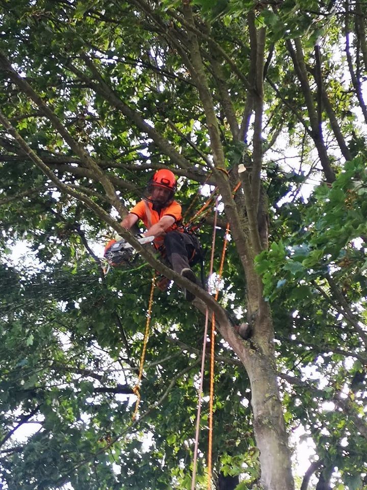 Pruning Work