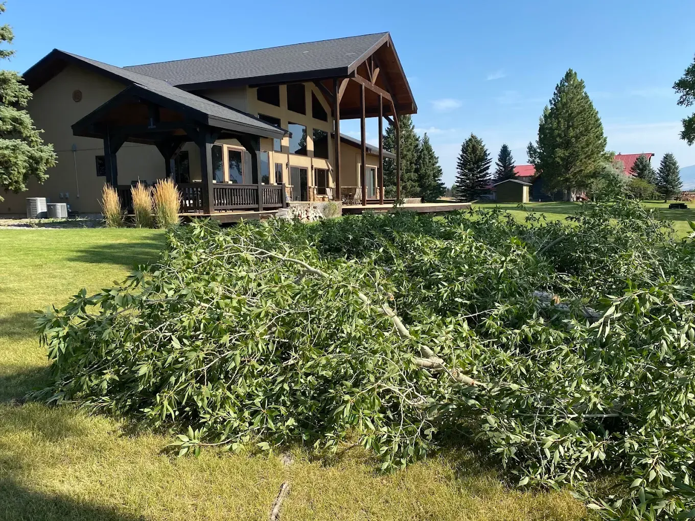 Pile of freshly cut branches on a lawn beside a large wooden house under a clear sky