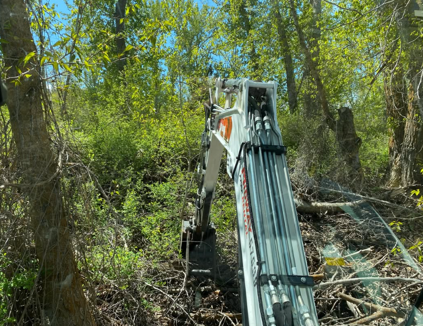 Excavator arm in a wooded area, clearing brush and debris among trees.