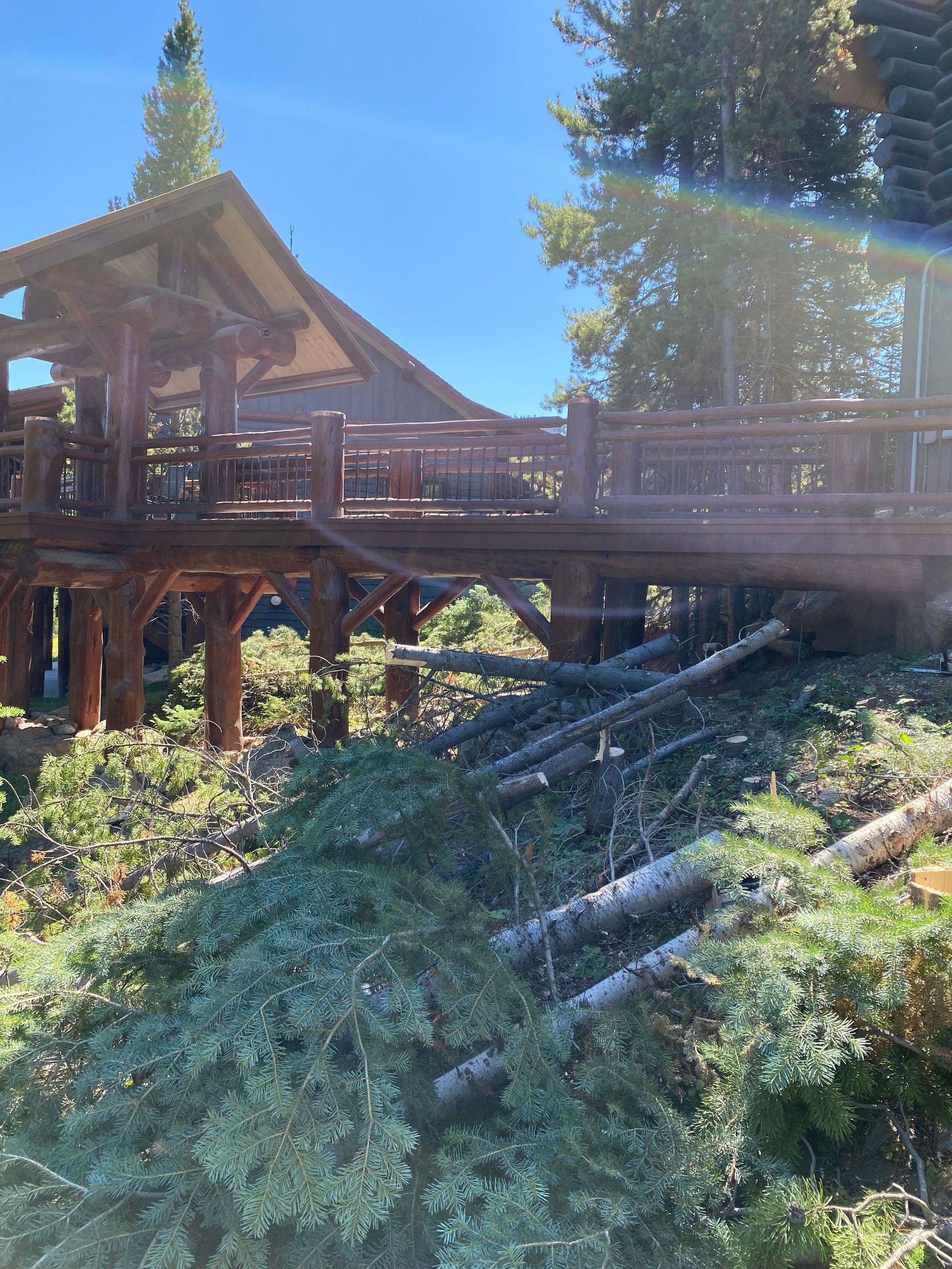 Wooden treehouse walkway on a wooded hillside under bright blue sky.
