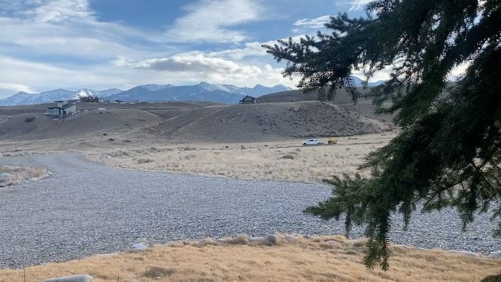 Snowy mountain landscape with rocky ground, cloudy sky, and a pine tree in the foreground