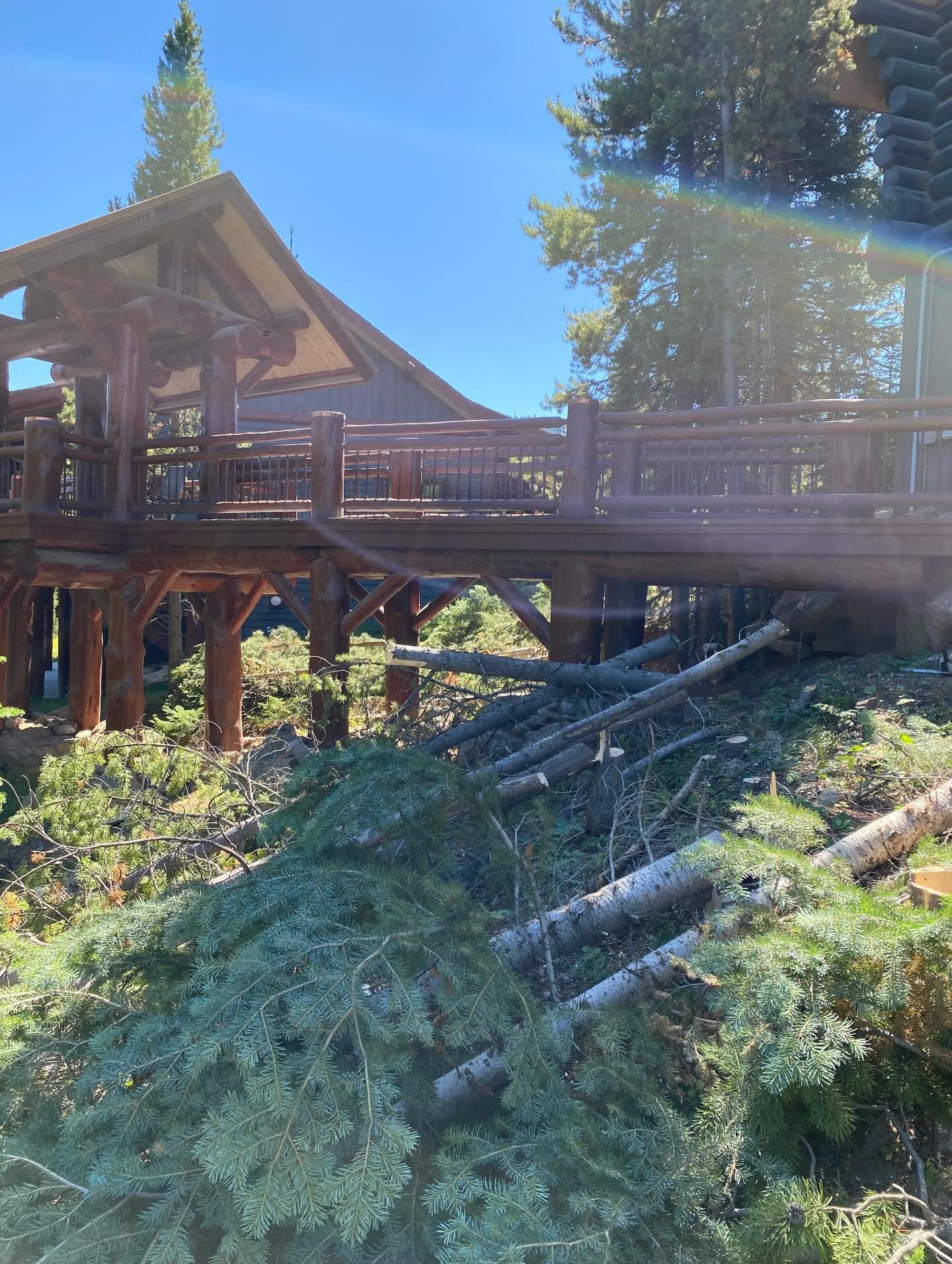 Wooden cabin deck on a forested hillside under bright blue sky