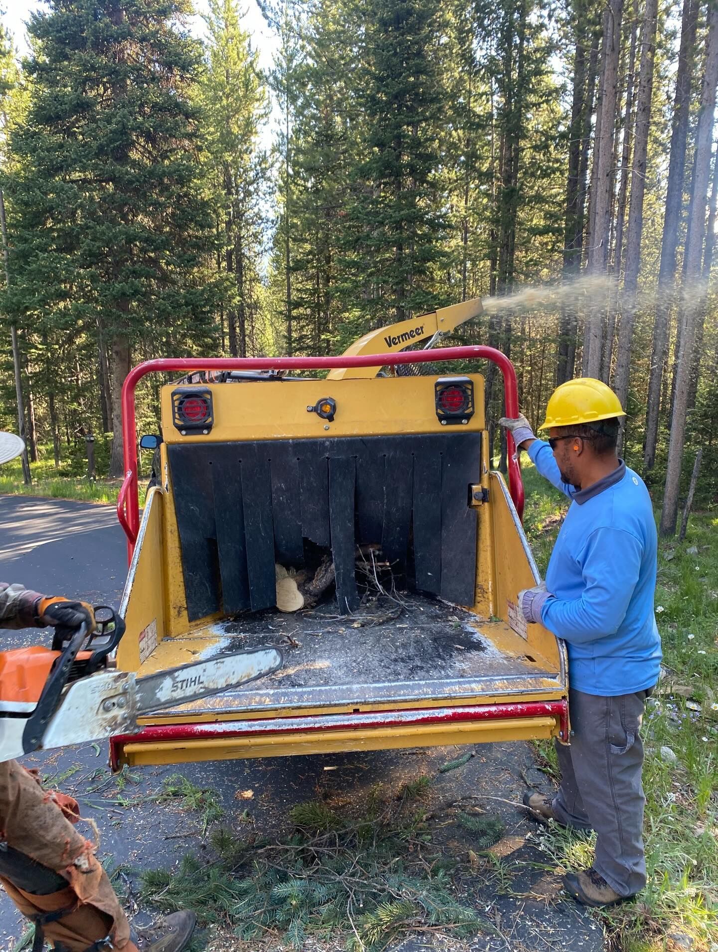 Worker spraying water into a yellow wood chipper on a forest road