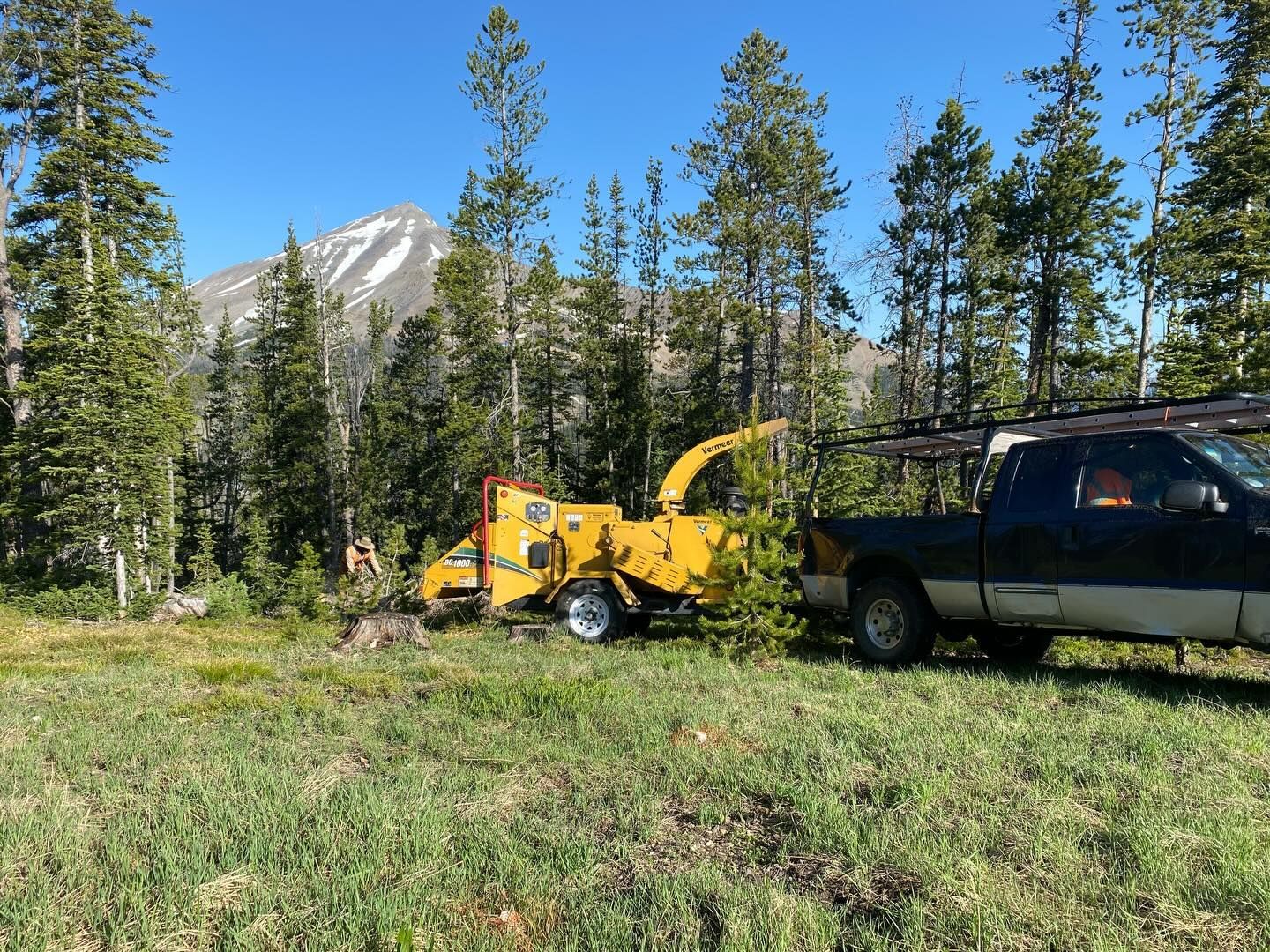 Yellow wood chipper hitched to a black pickup in a forest clearing with mountains behind
