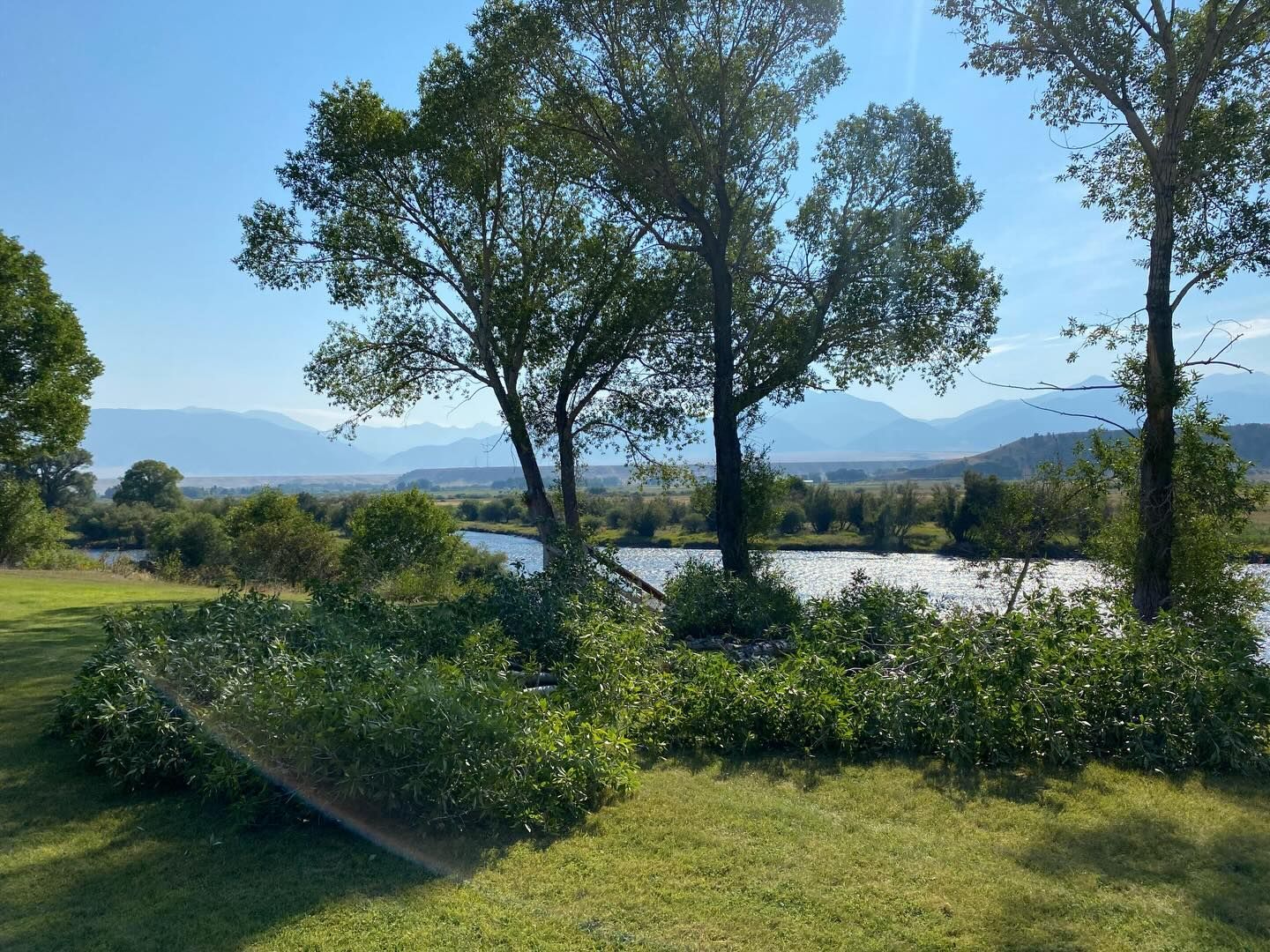 Sunny riverside landscape with trees, green grass, and distant mountains