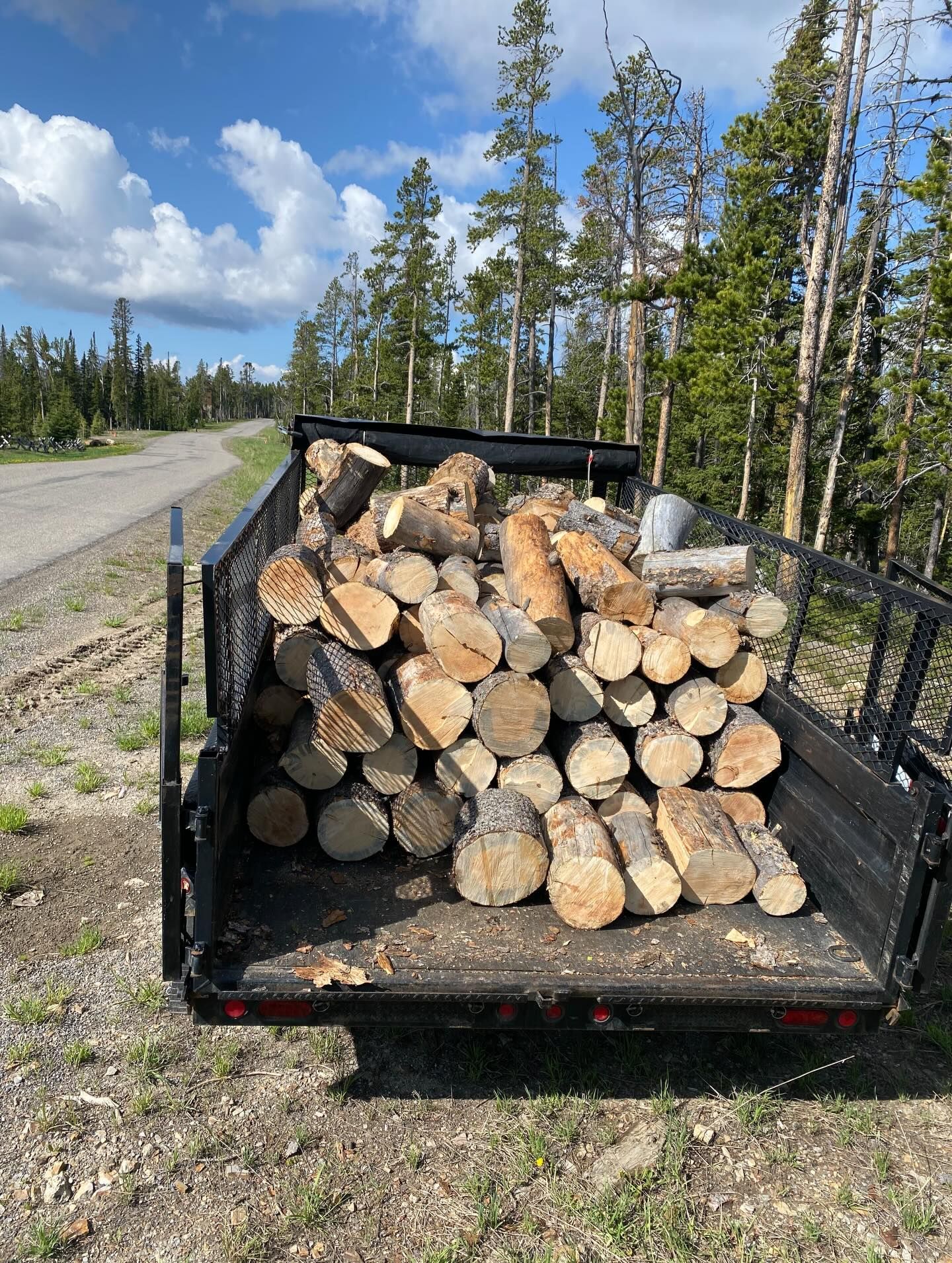 Stacked firewood in a black trailer beside a rural road under a blue sky