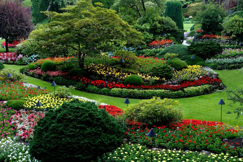 Colorful flower garden with winding paths, shrubs, and blooming beds in a lush landscaped park