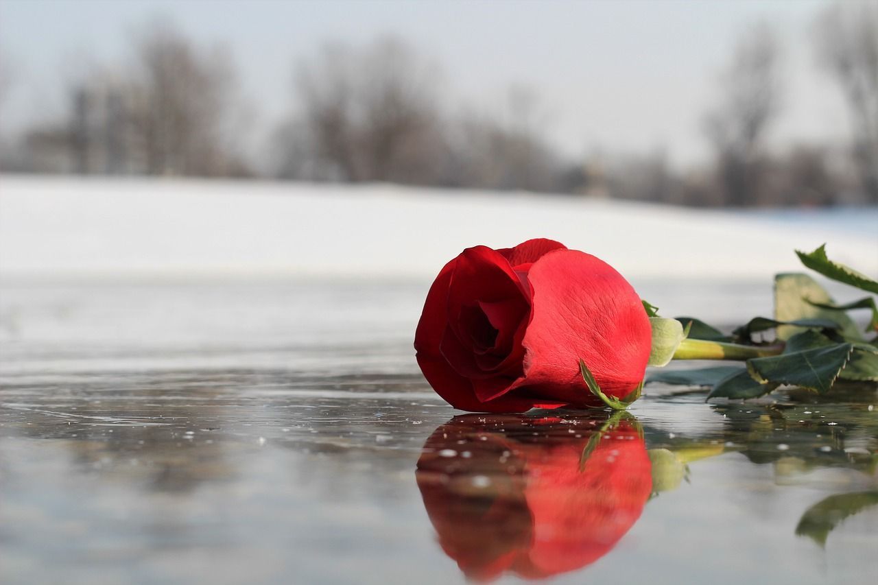 Forgiveness as an act of wellbeing