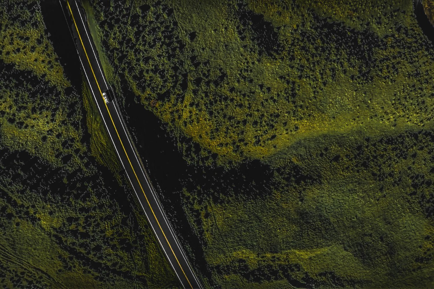 An aerial view of a highway going through a forest at night.