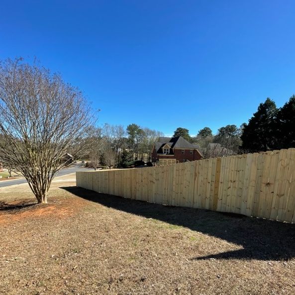 A new wooden fence encloses a backyard with a leafless tree on a sunny day.