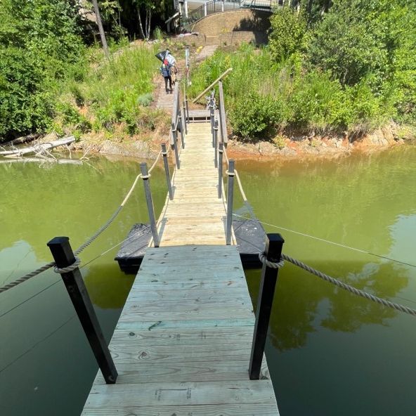 Wooden bridge over murky water; person walks across towards the bank.