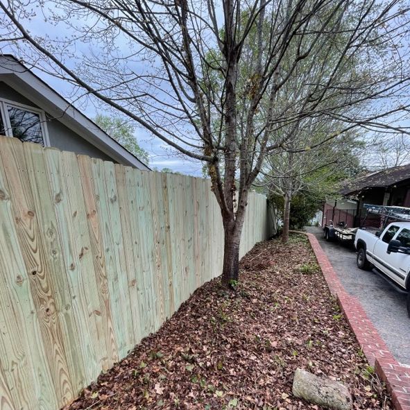 Wooden fence alongside a tree, with a driveway and cars visible.