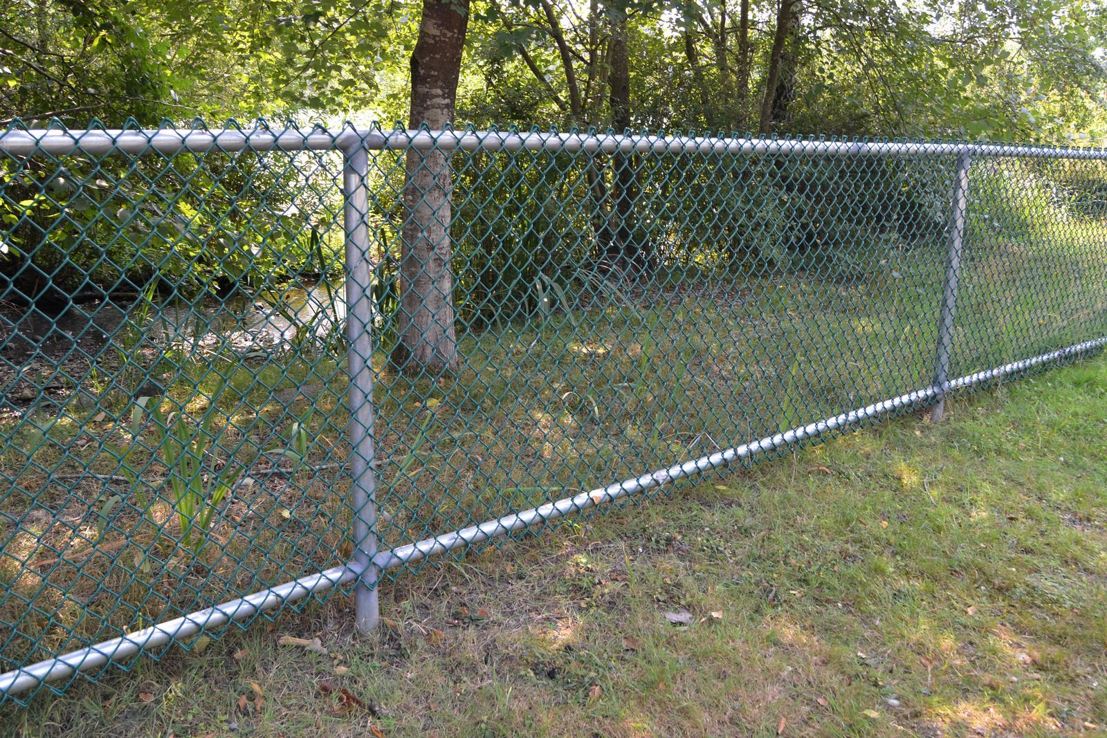 Chain link fence in front of a tree and green foliage on a sunny day.