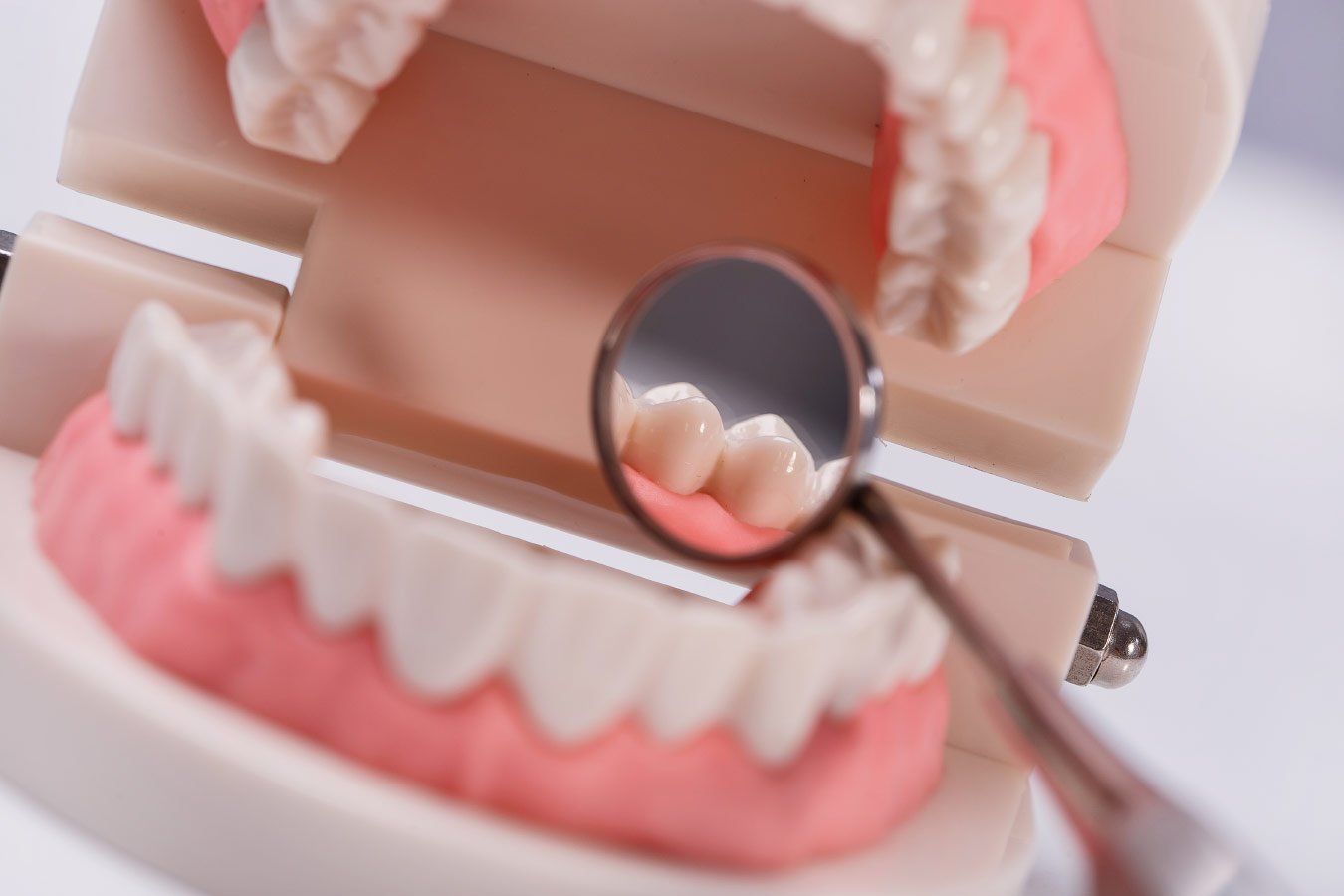 Dentist in mask and gloves, holding a teeth model, in a blue and white dental office.