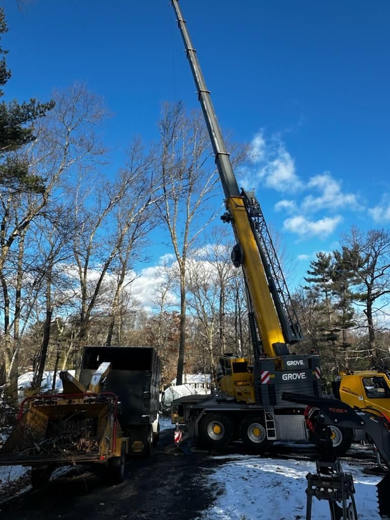 tree services 18
