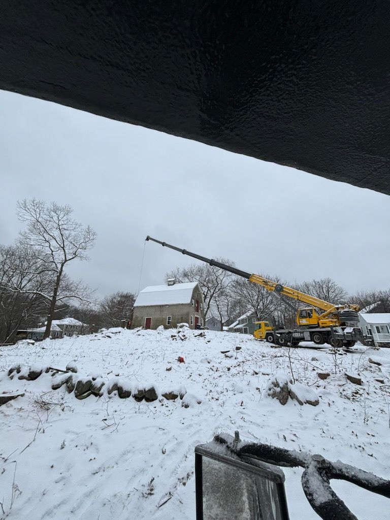 tree services 20