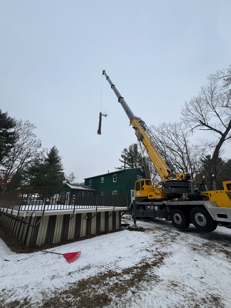 tree services 21
