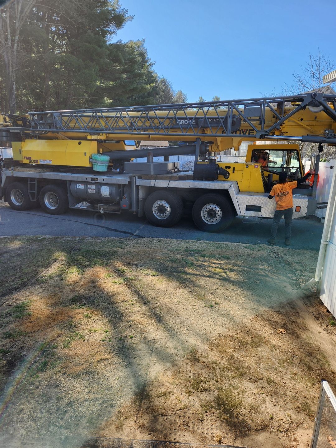 tree services 13