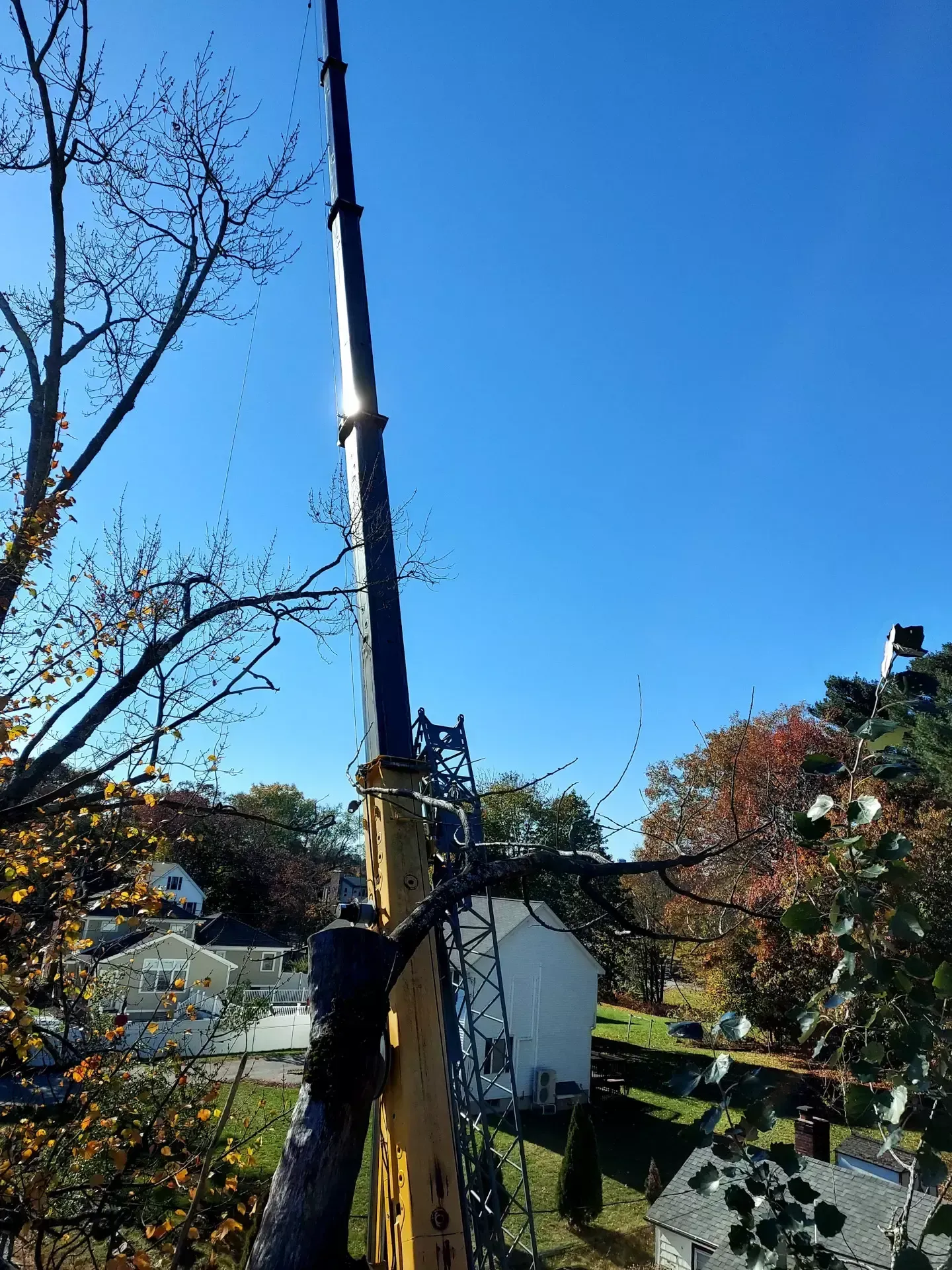 billerica-tree-removal-3