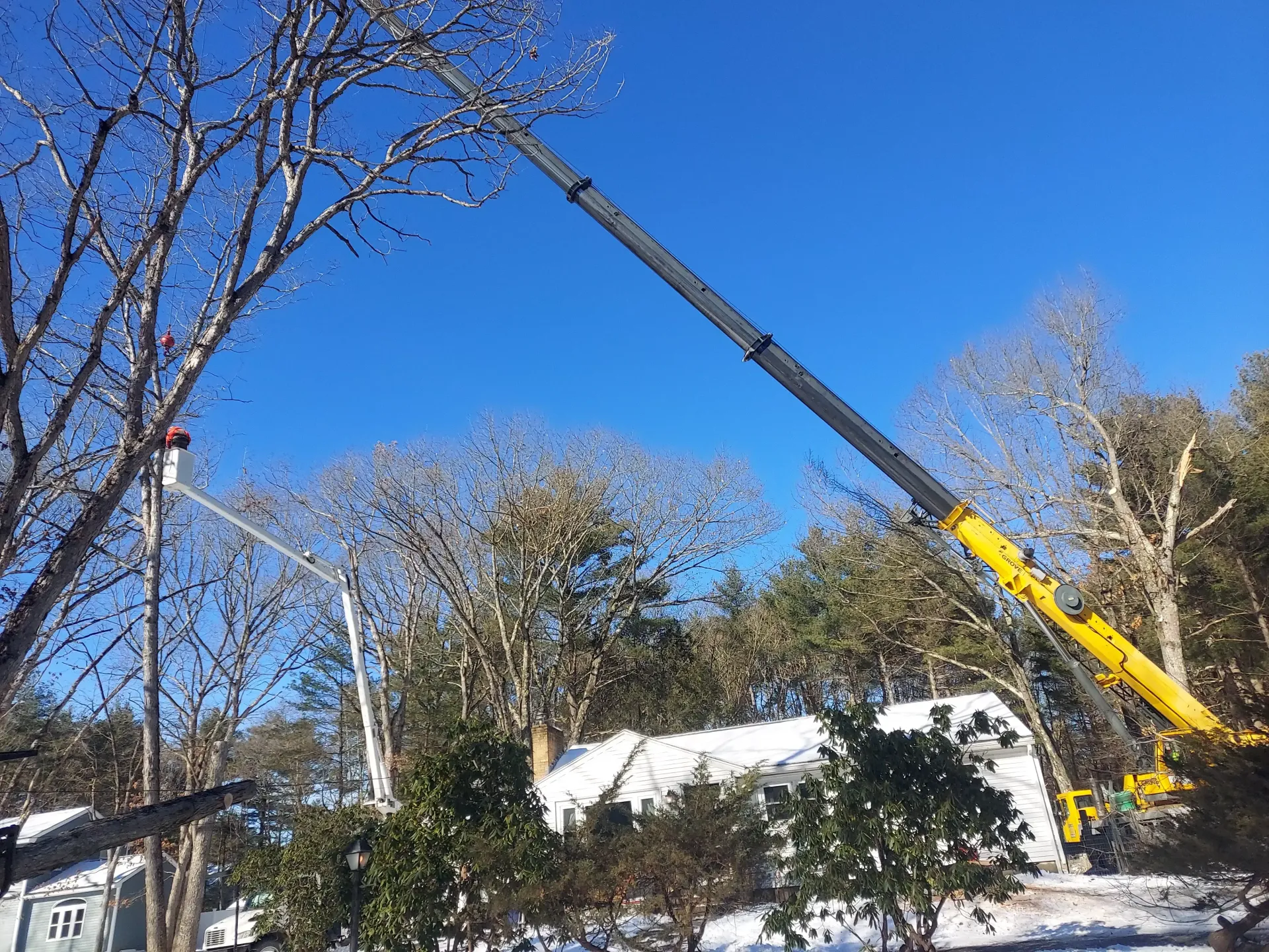 emergency-tree-service-3