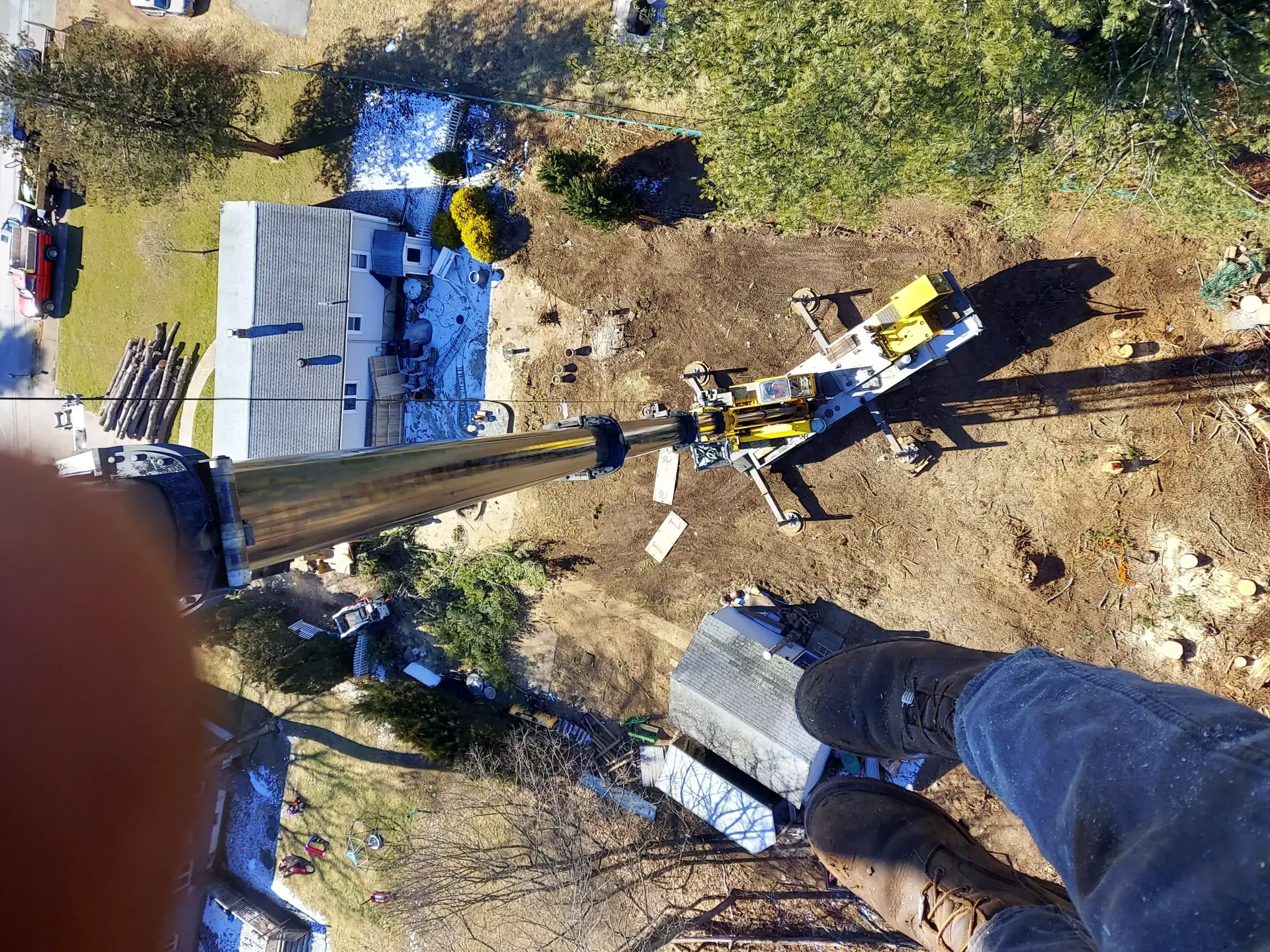 land-clearing-2