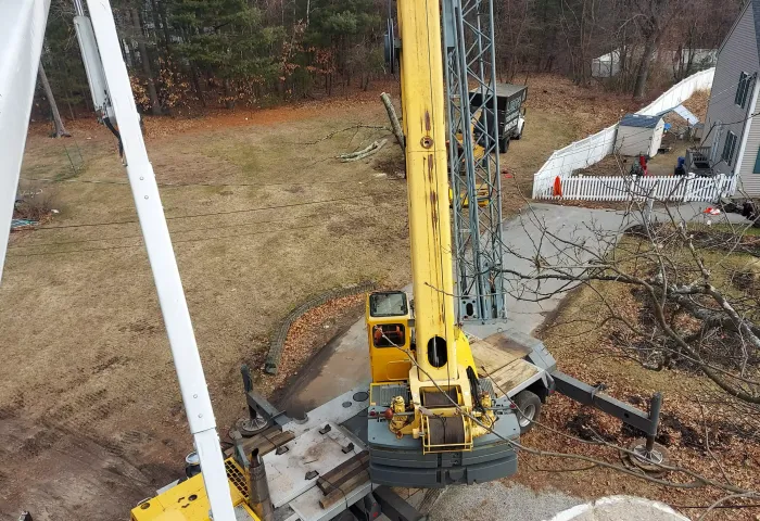 tree services 22