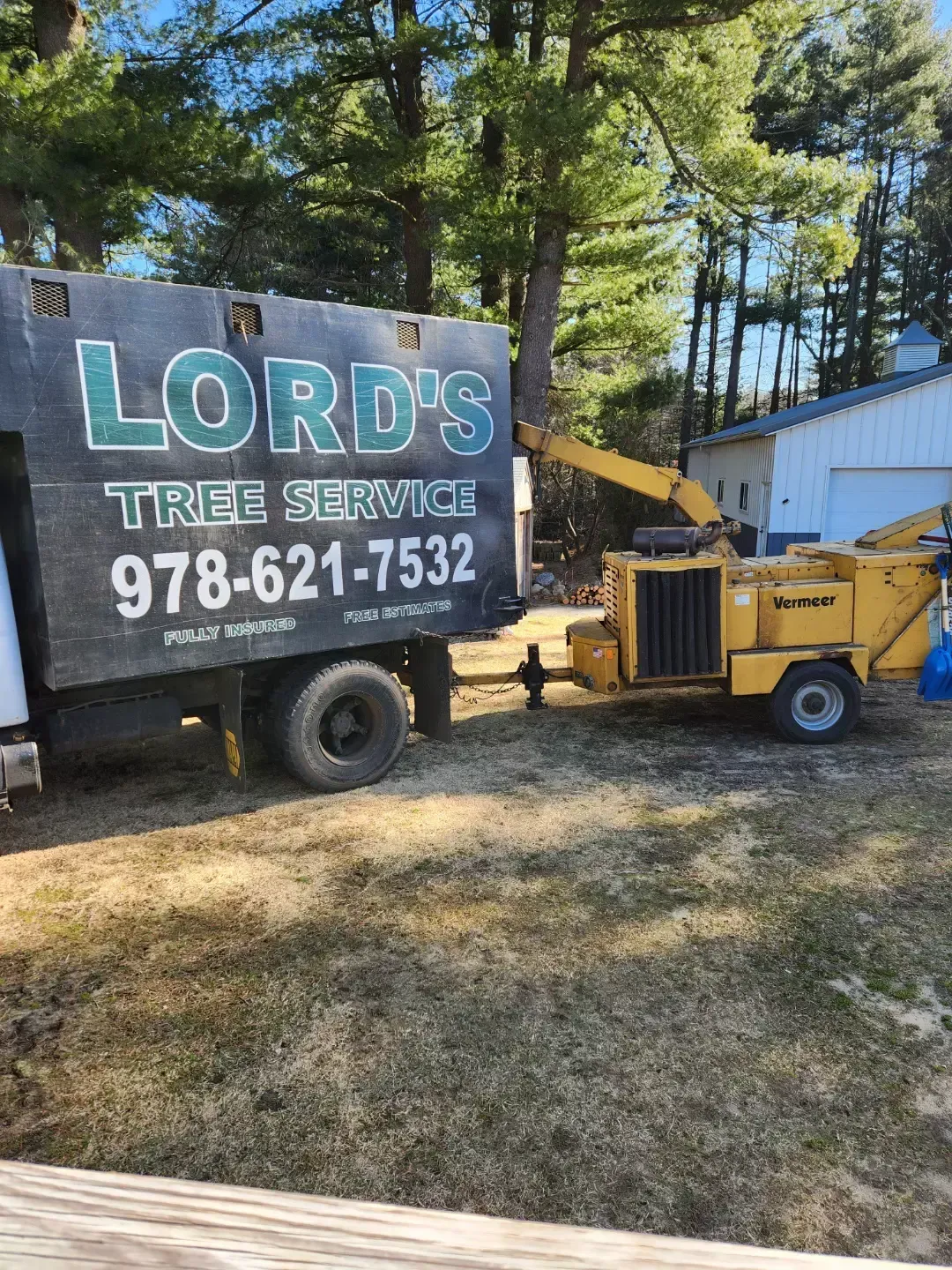 tree services