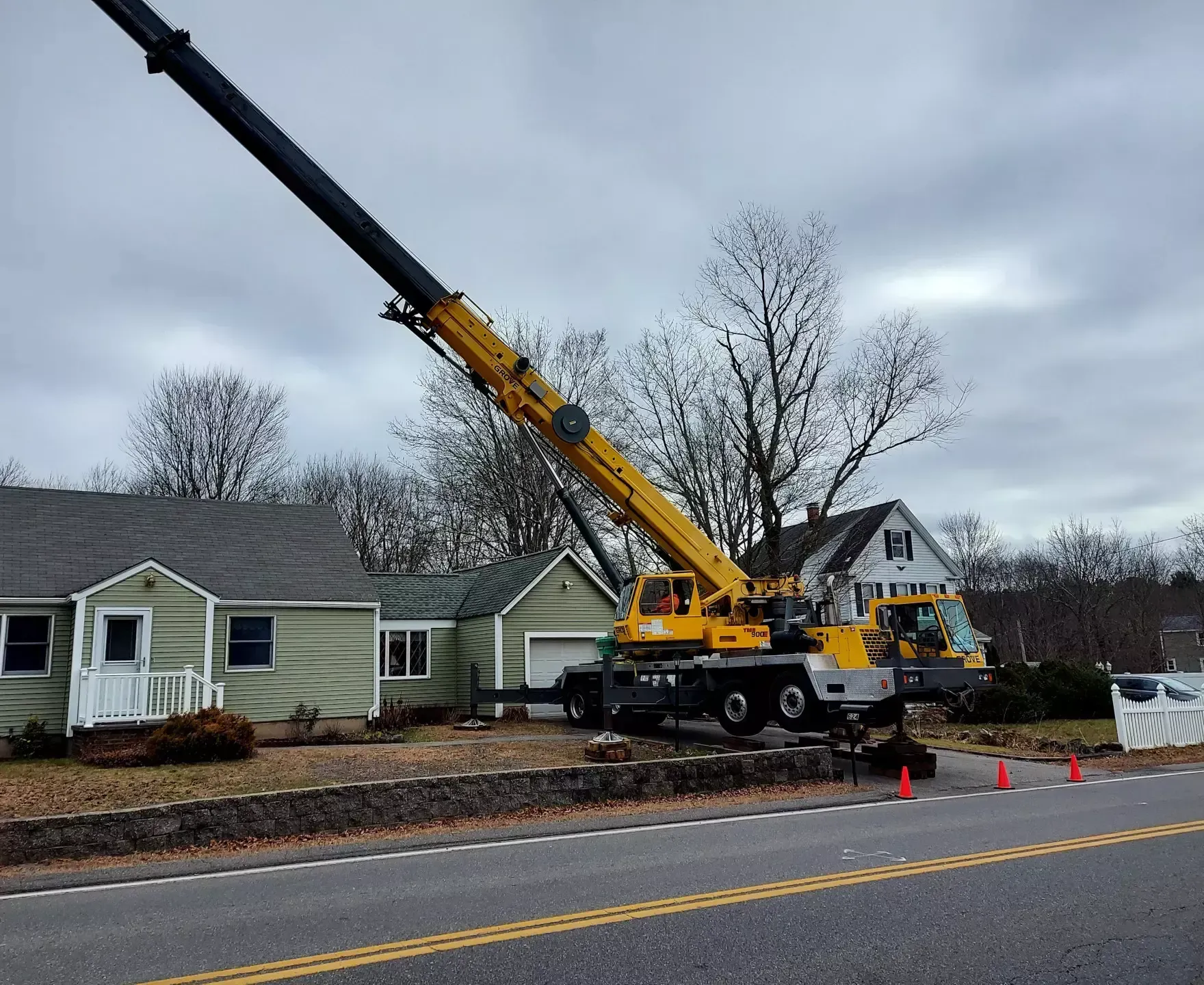 tree services 2
