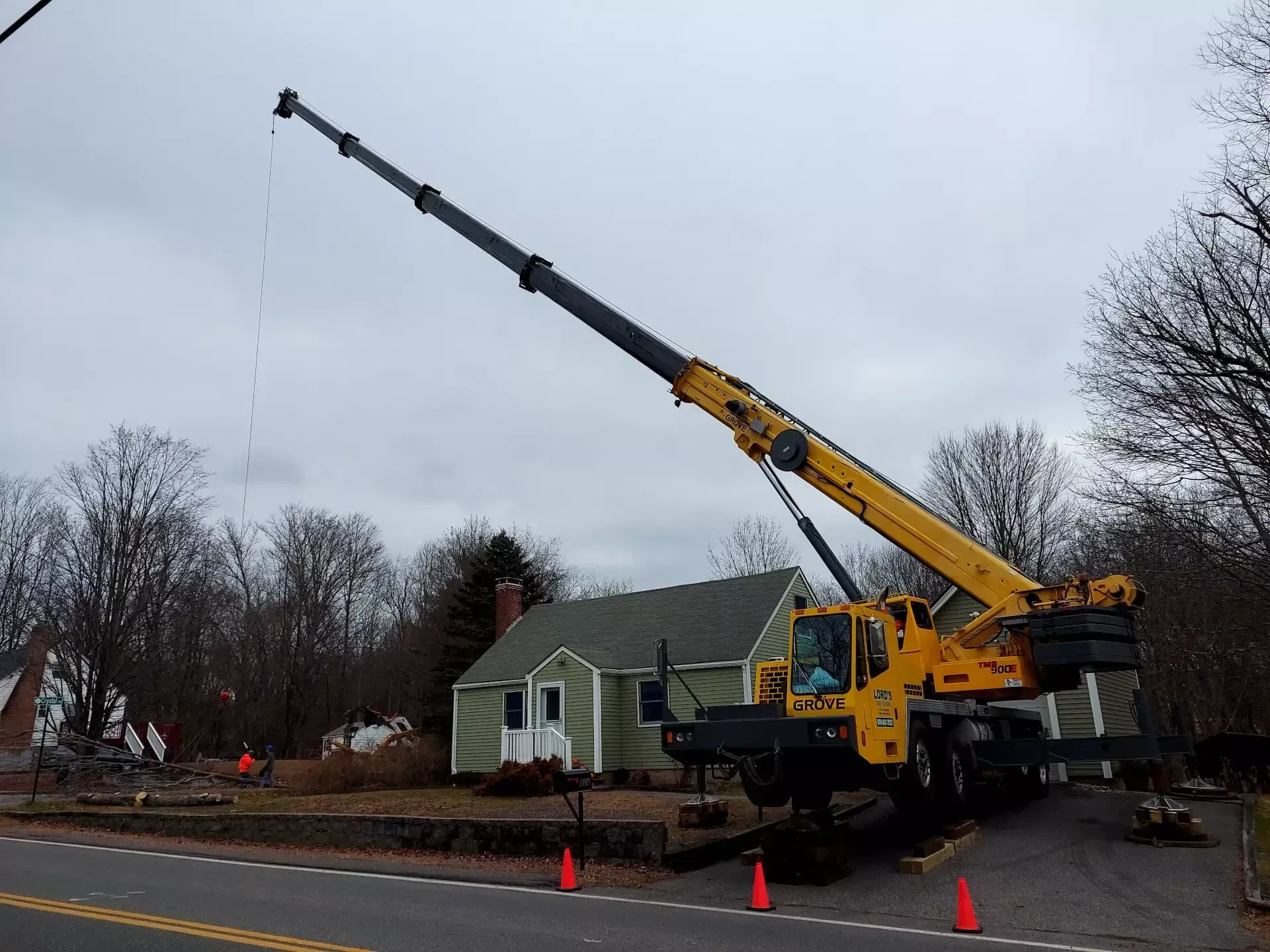 tree services 5