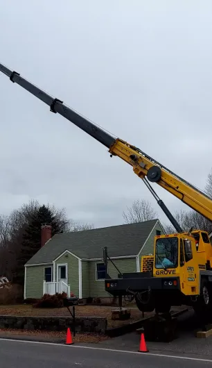tree-trimming-boston-ma-2