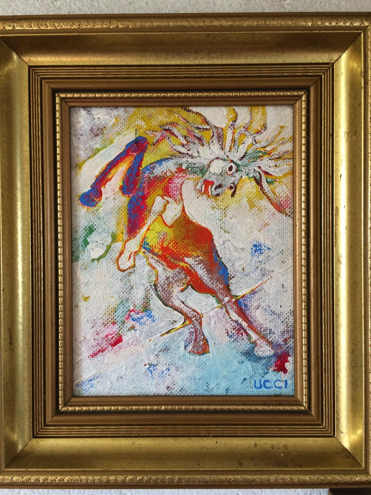 wild horse