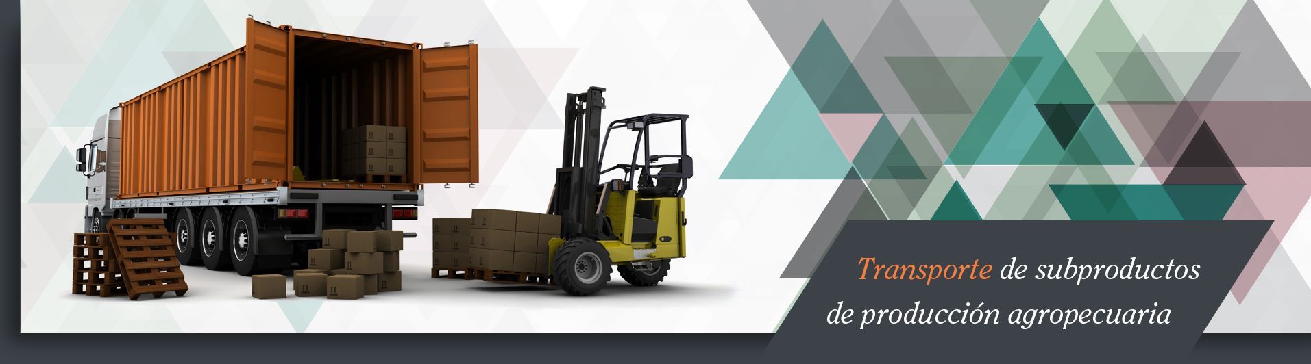 COOPERATIVA DE TRABAJO TRANSPORTISTAS DE CHACABUCO LTDA