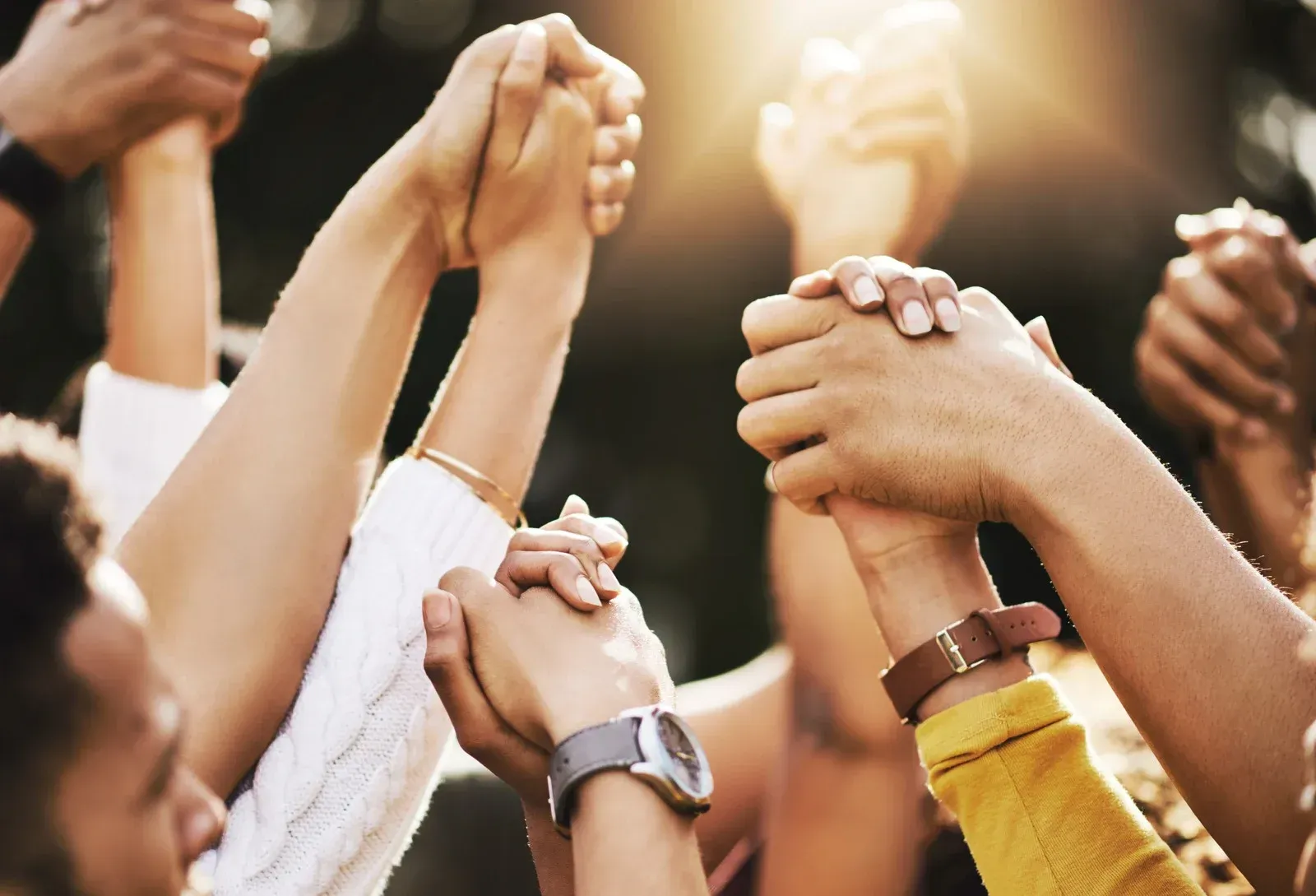 People holding hands, arms raised; sun shining through.