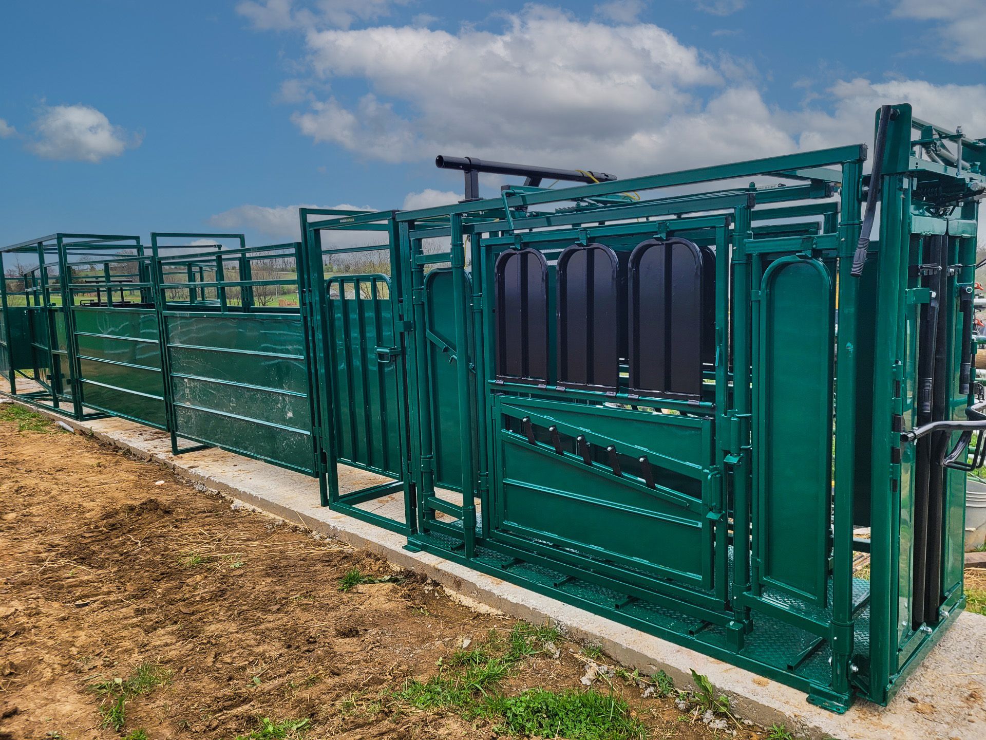 Stationary Headchute System Palp Cage and Alleyway