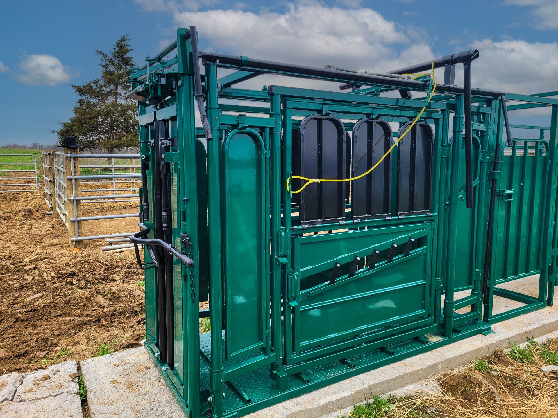 Stationary Headchute System Palp Cage