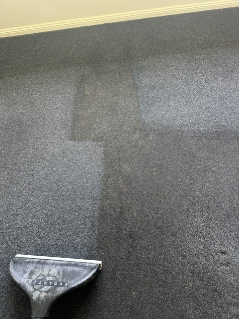 Carpet being cleaned with a visible line between the cleaned and uncleaned area