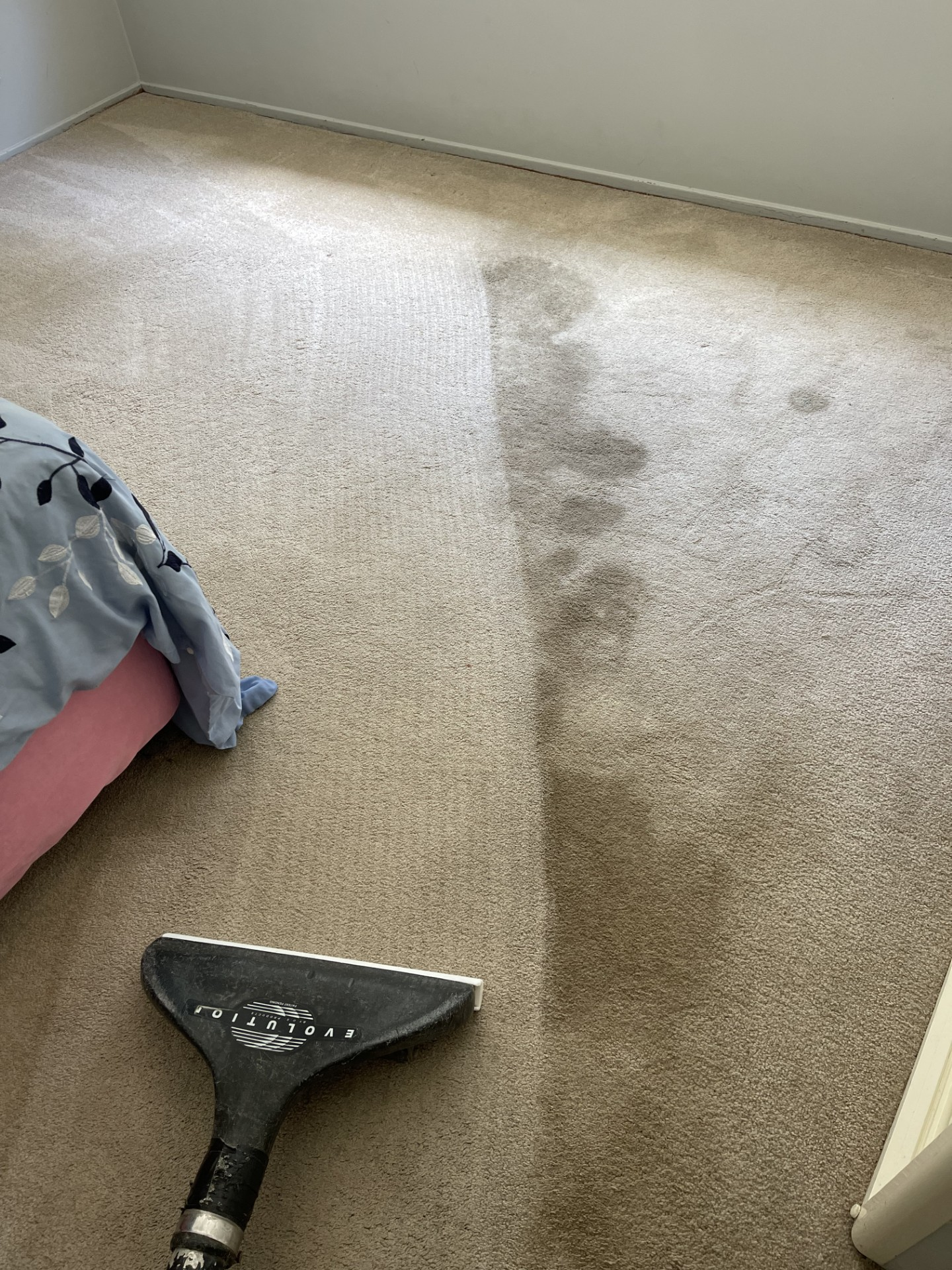 Carpet cleaning in progress showing the clean and dirty sections side by side