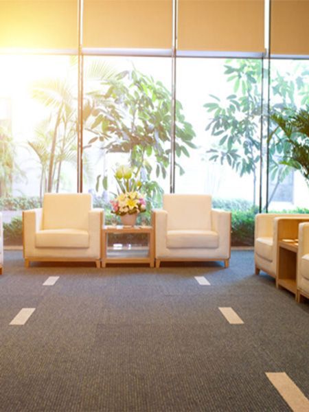 Carpet cleaning technician vacuuming residential carpet in Sydney home