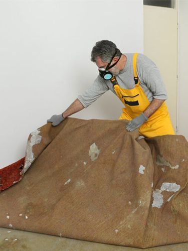 Carpet cleaning technician vacuuming residential carpet in Sydney home