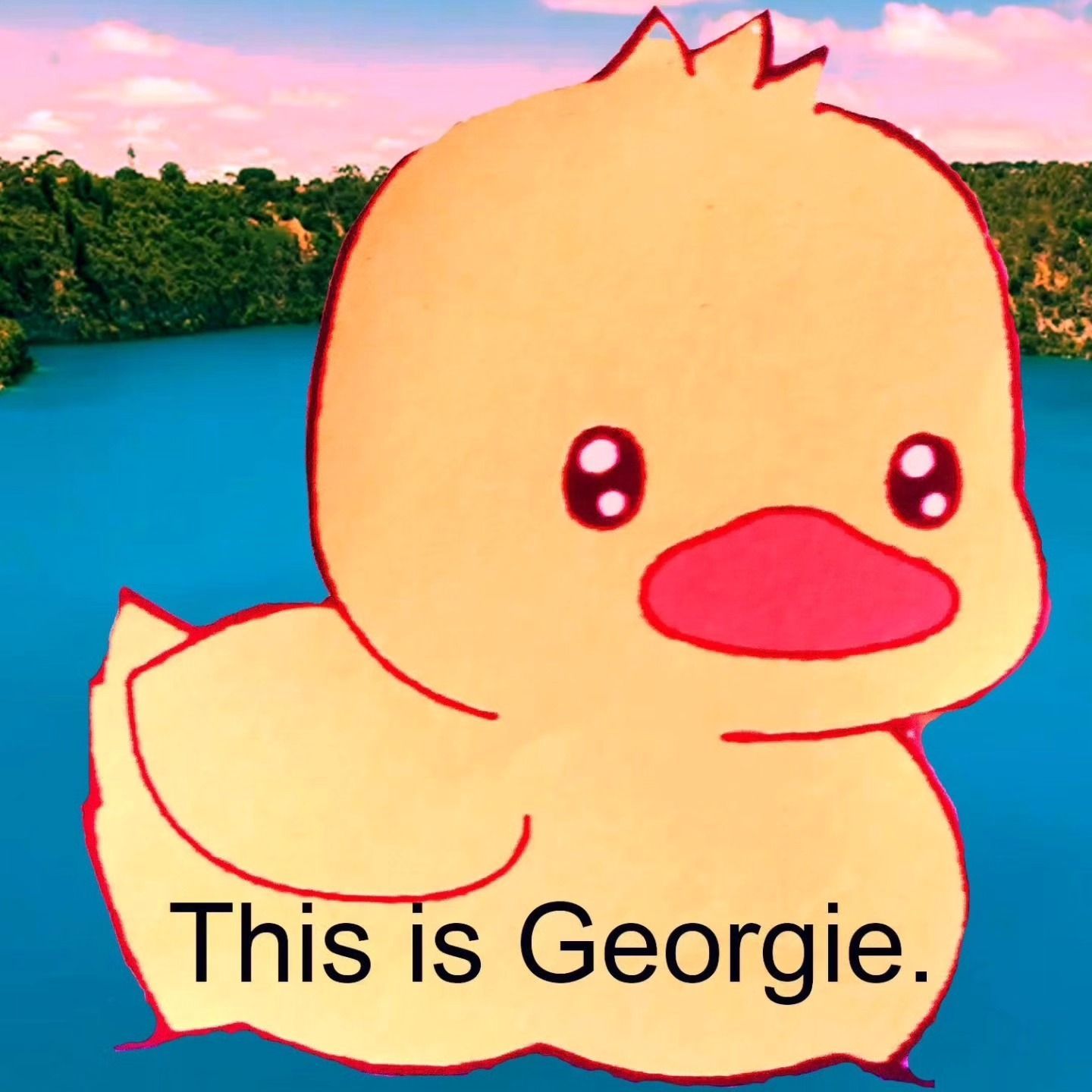 Meet Georgie