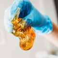 Blue-gloved hand holding a golden amber insect specimen with tweezers