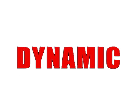 Dynamic Automotive & 4x4 LOGO