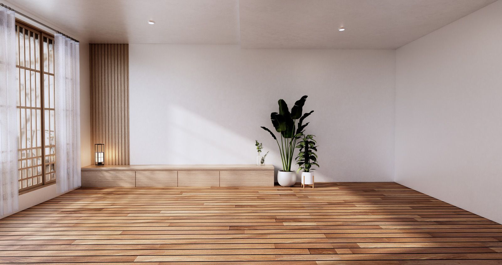 Minimal empty room with wooden floor, white walls, large window, and potted plants near the back wall