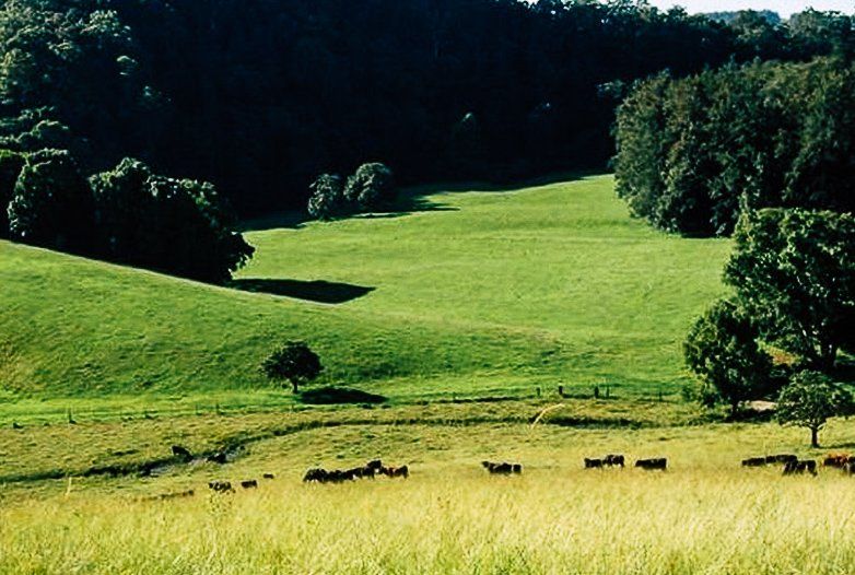 Karangi