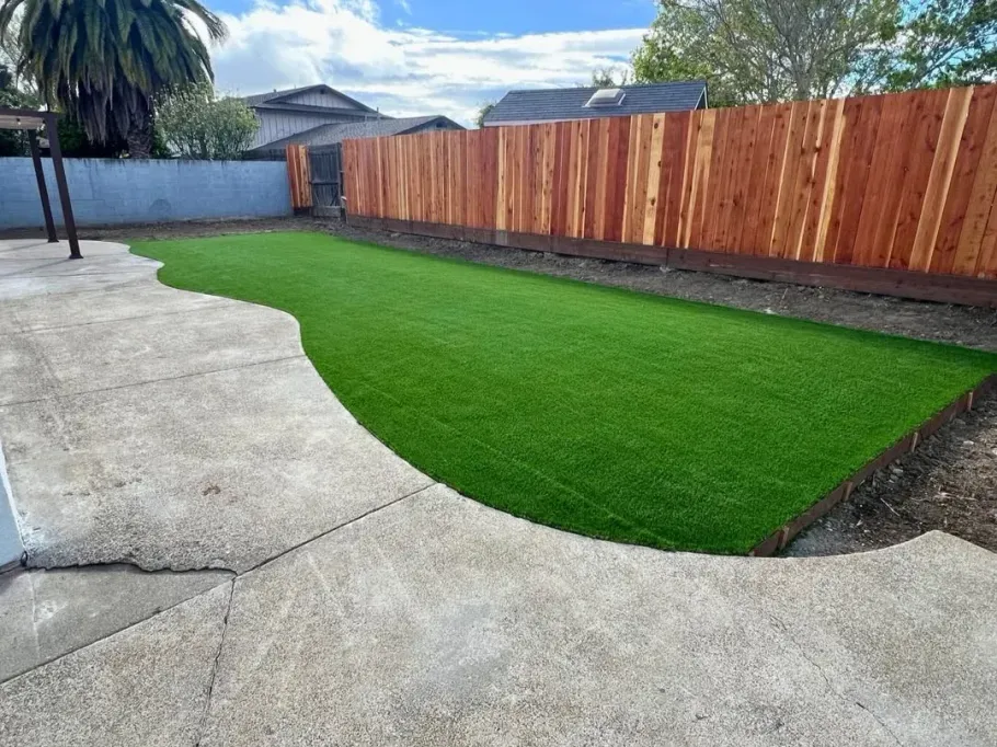 Backyard with fresh green lawn, curved concrete patio, wooden fence, and a palm tree