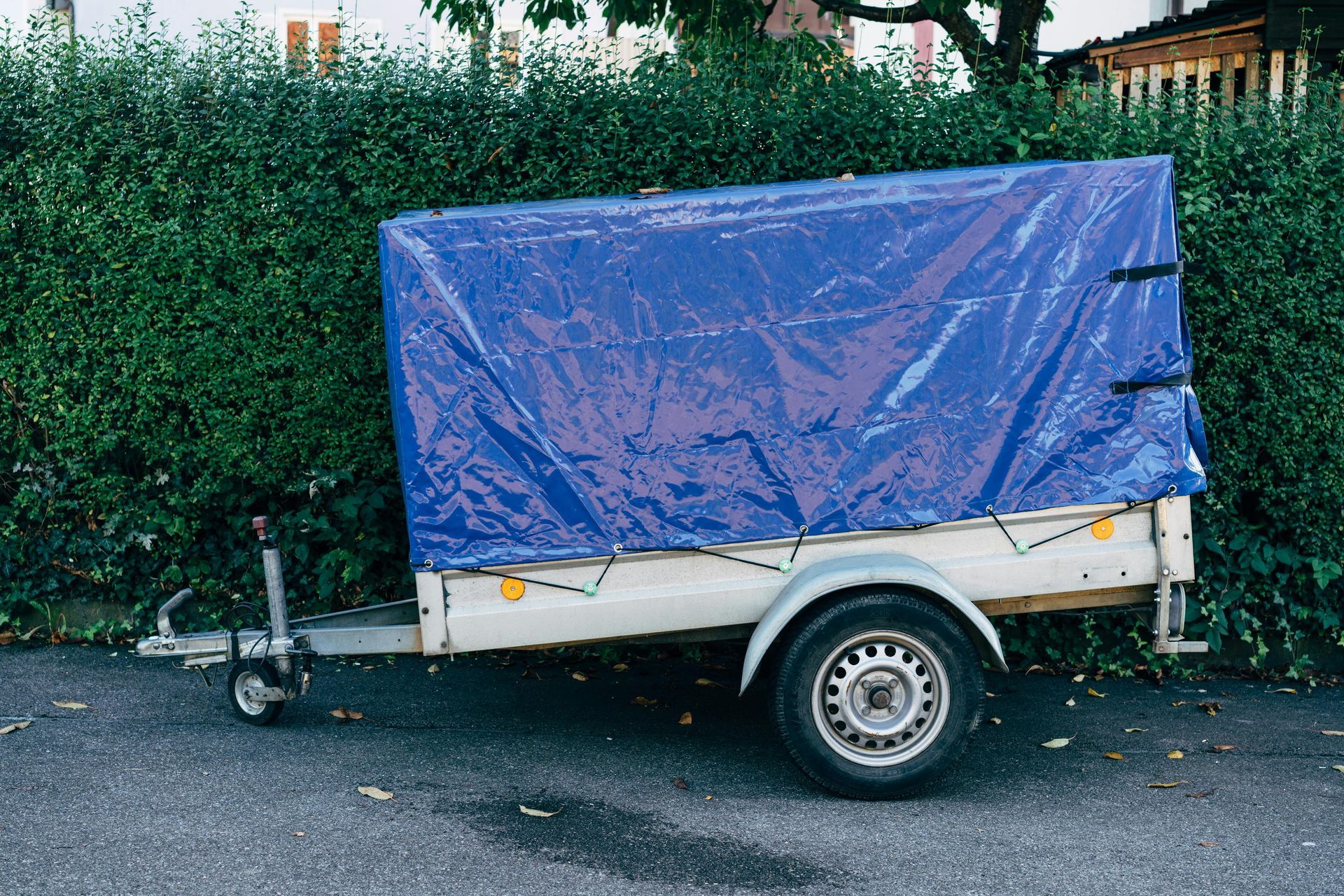 Small trailer covered with a blue tarp parked beside a hedge on a street.