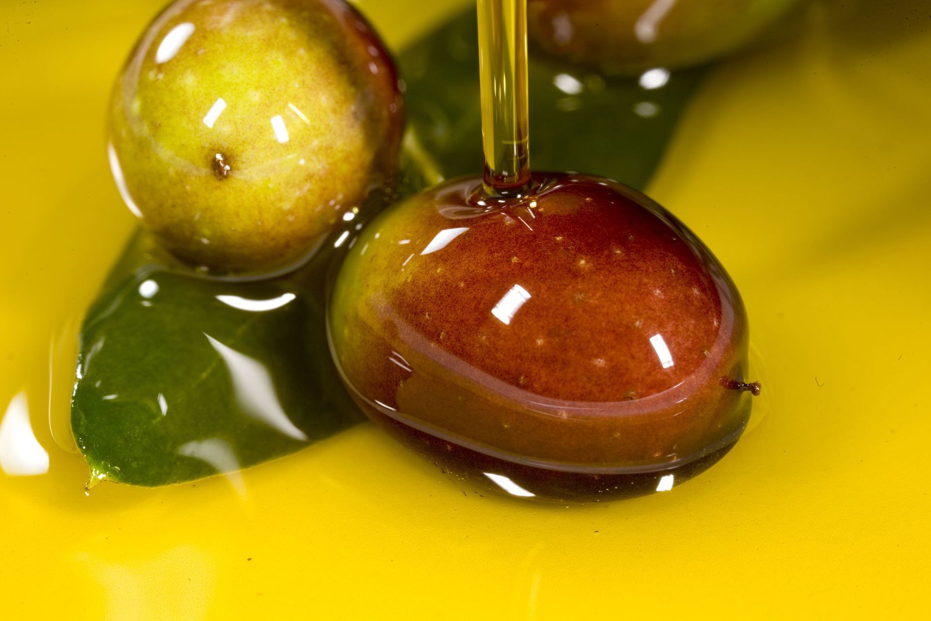 olive